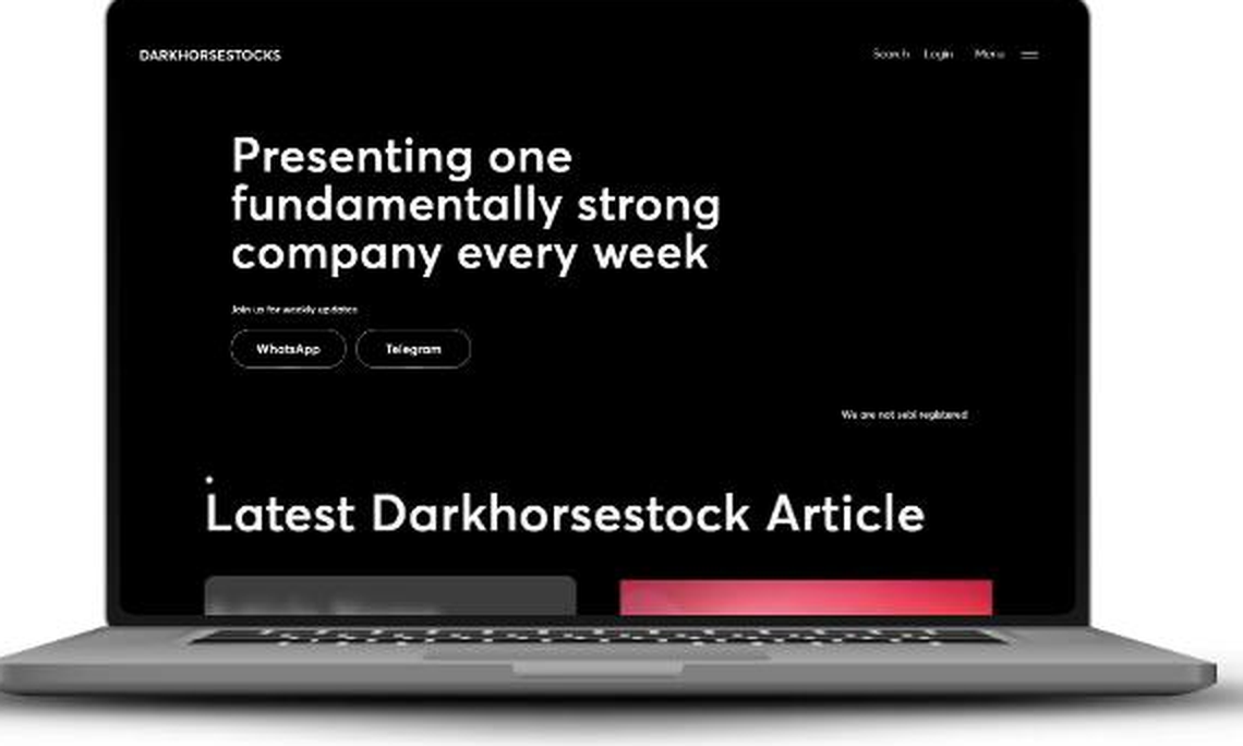 DarkHorseStocks web platform
